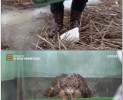 썸네일 이미지