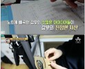 썸네일 이미지