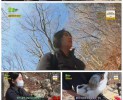 썸네일 이미지