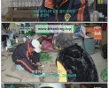 썸네일 이미지
