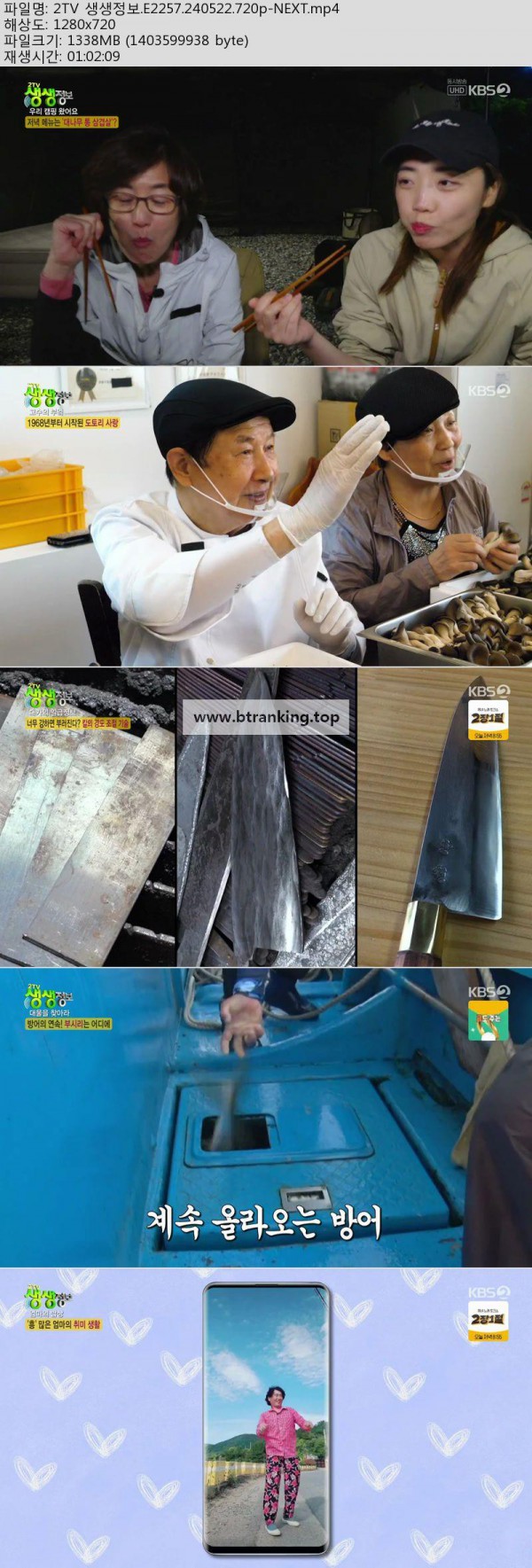 17504397058718.jpg